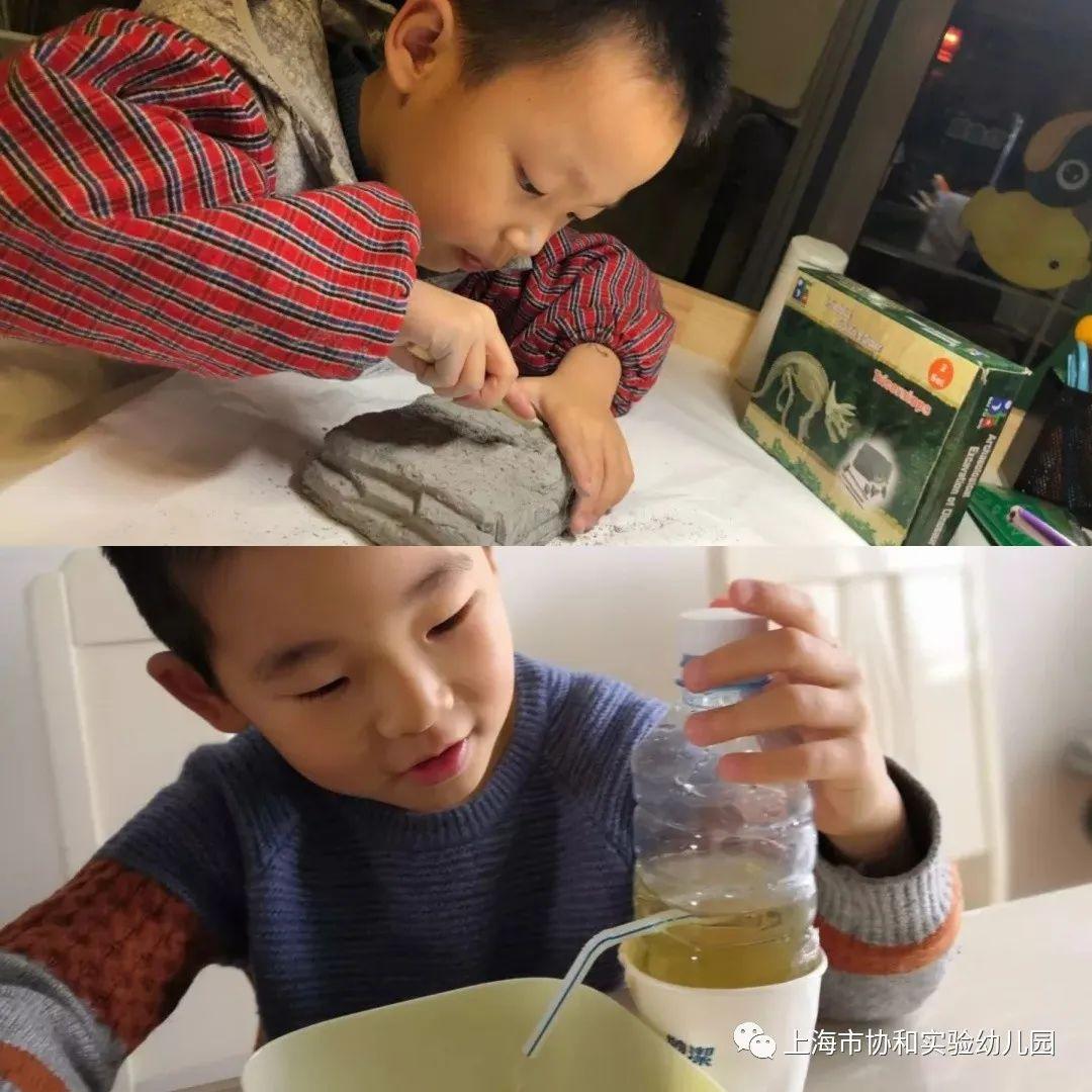 宅家的精彩时光——守护健康!守护快乐!图片_4194303 宅家的精彩时光——守护健康!守护快乐!图片_4194303