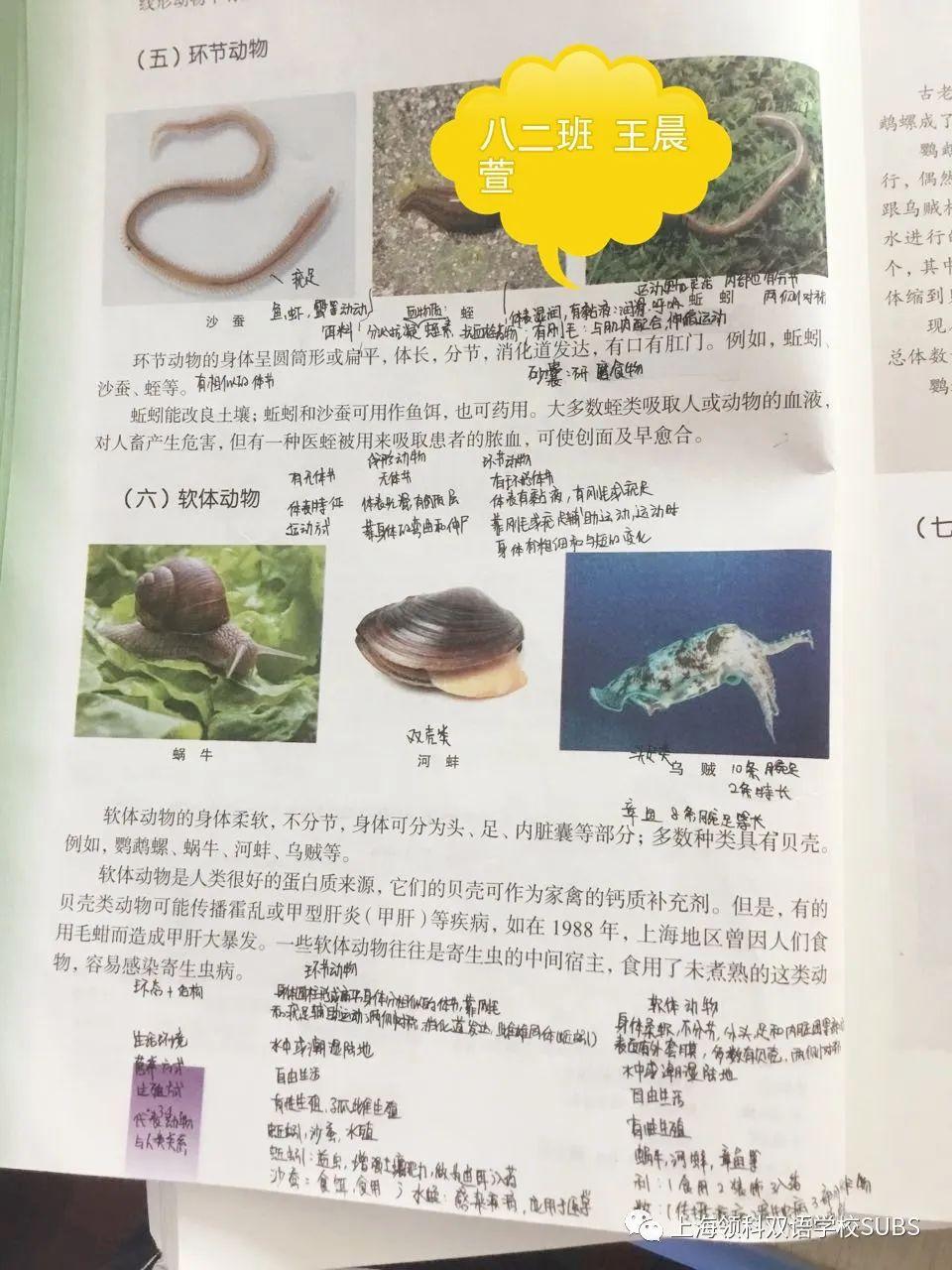 你的优秀有“记”可寻——领科双语学子课堂笔记大赏图片_576460752303423487 你的优秀有“记”可寻——领科双语学子课堂笔记大赏图片_576460752303423487