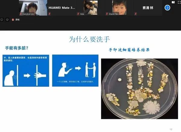 春泥讲坛丨个人防护与公共卫生图片_15