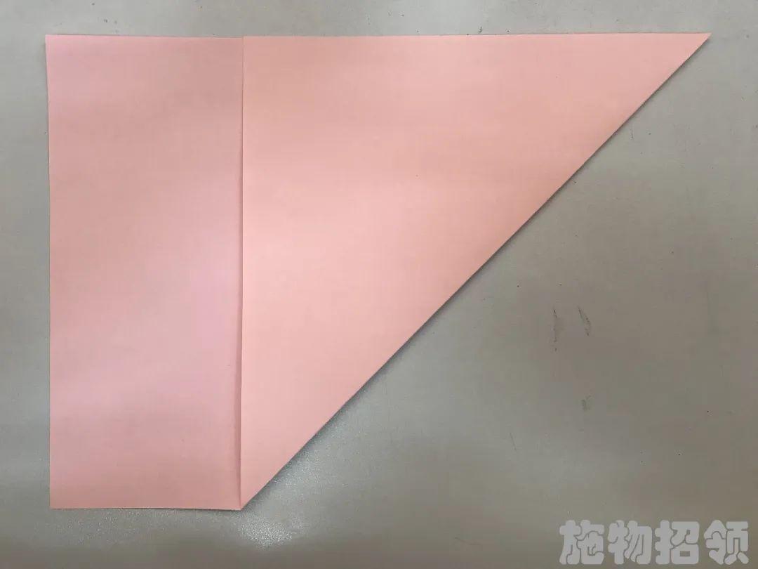 【施物招领】少年，你想做“飞猪”吗？图片_8589934591