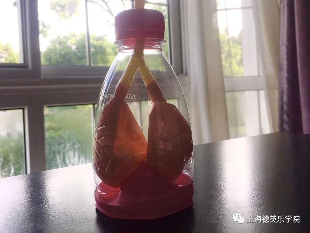 别开生面的生物课 | 培养学生批判性思维图片_3 别开生面的生物课 | 培养学生批判性思维图片_3
