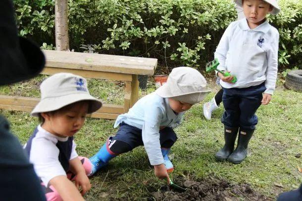 Forest School: When Nature Becomes a Classroom图片_127