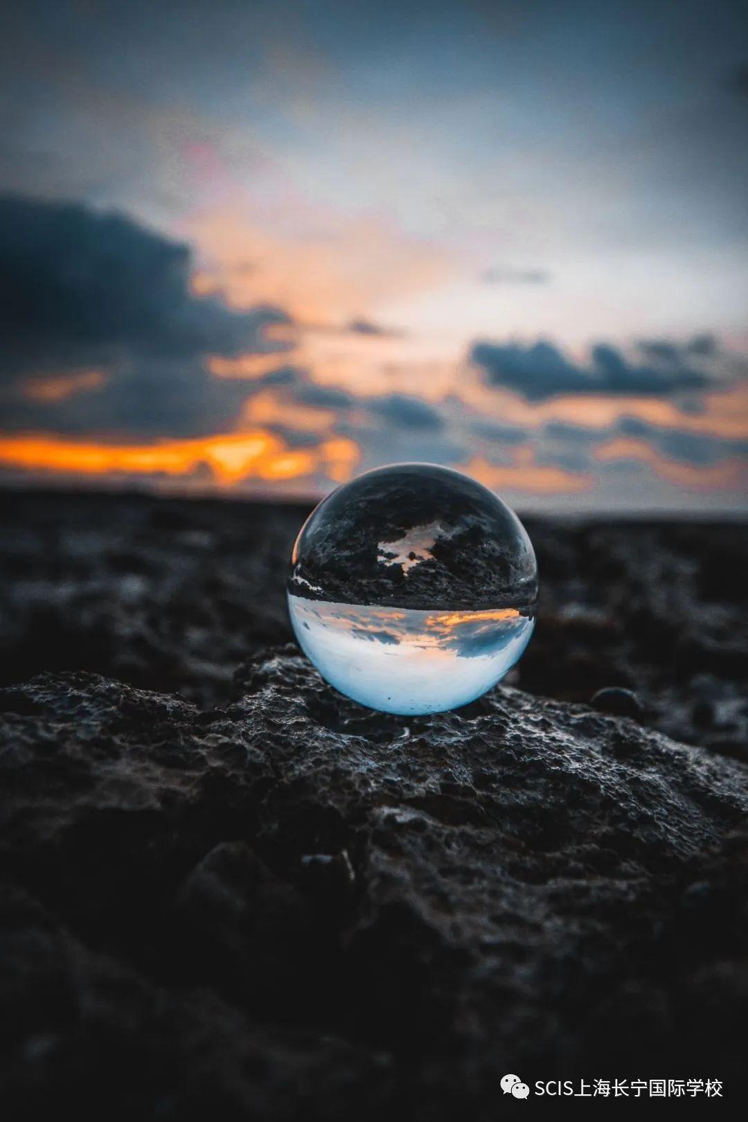 Surviving Virtual Learning in Stride图片_31