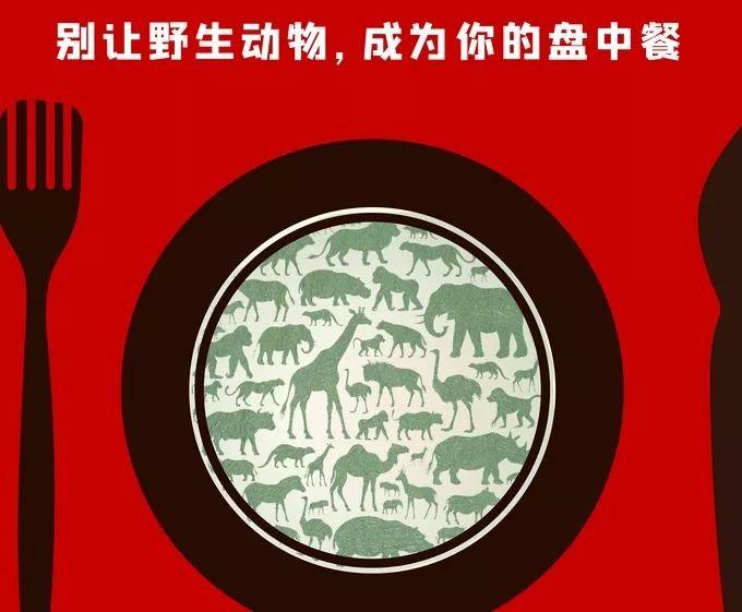 疫情之后的反思 – 人类需要常怀敬畏之心图片_31 疫情之后的反思 – 人类需要常怀敬畏之心图片_31