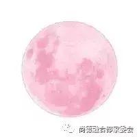 感恩月征文(九)——《最美同学》图片_3 感恩月征文(九)——《最美同学》图片_3