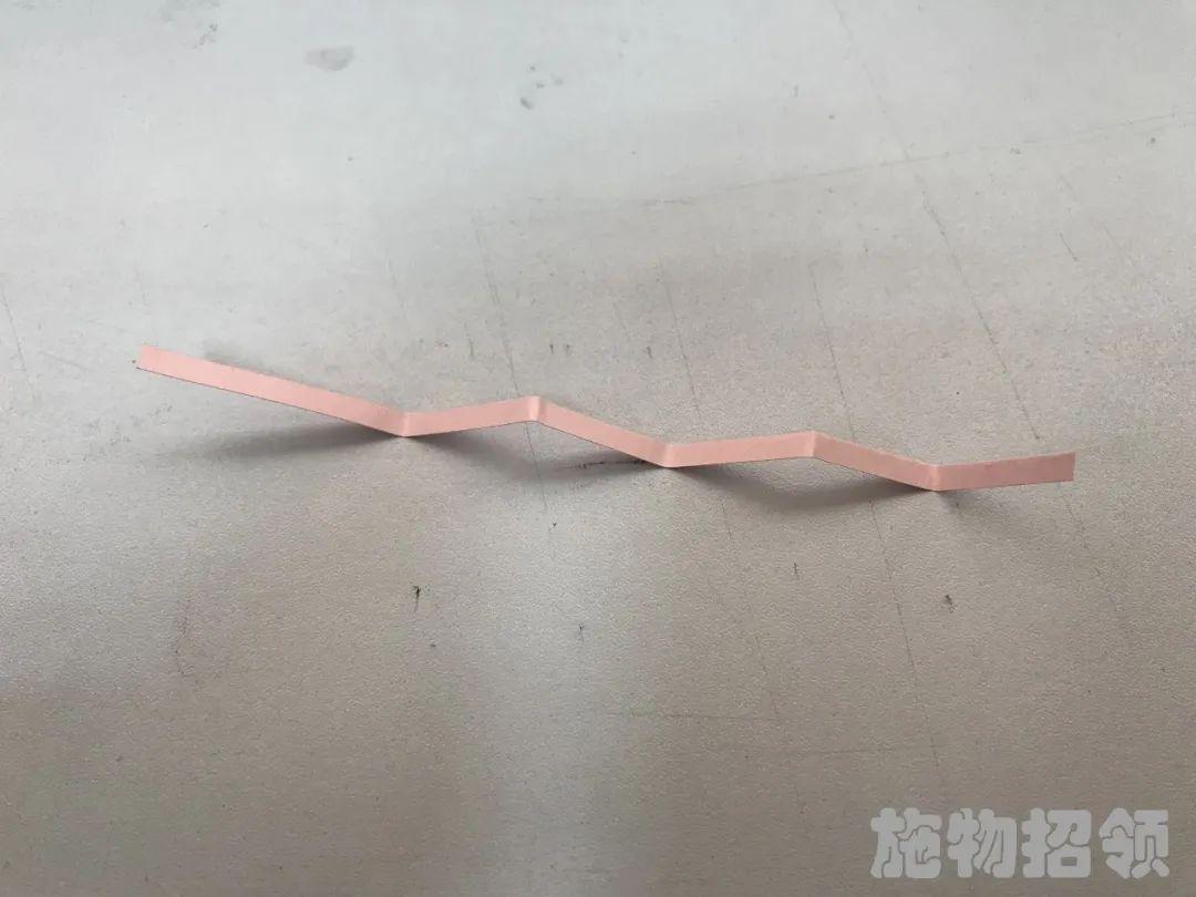【施物招领】少年，你想做“飞猪”吗？图片_35184372088831