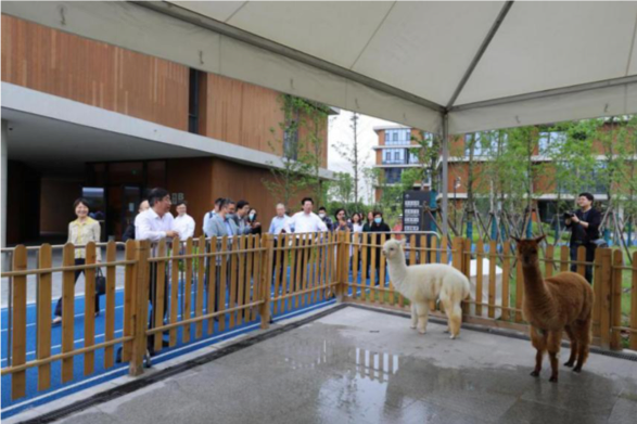 立足长三角，打造上海教育核心竞争力图片_255