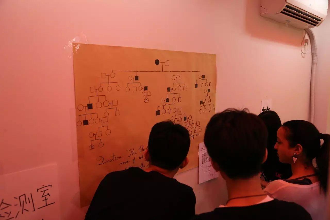 2017高中部Group 4 Project-精彩活动回顾图片_16777215