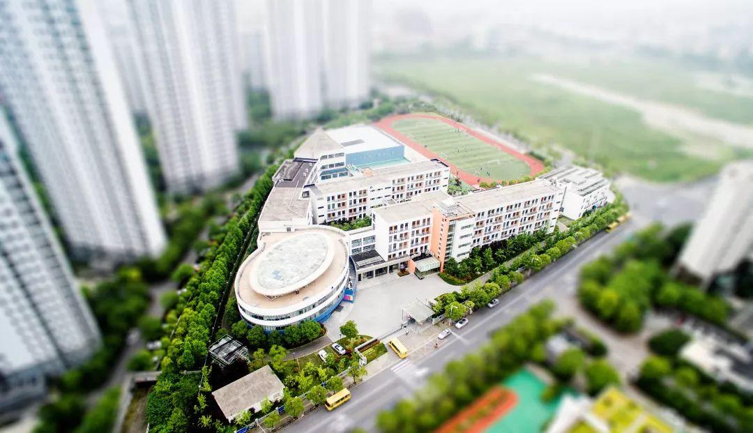 万源学子 绝不简单 | 高中学子人物专访 Talents at High School图片_7