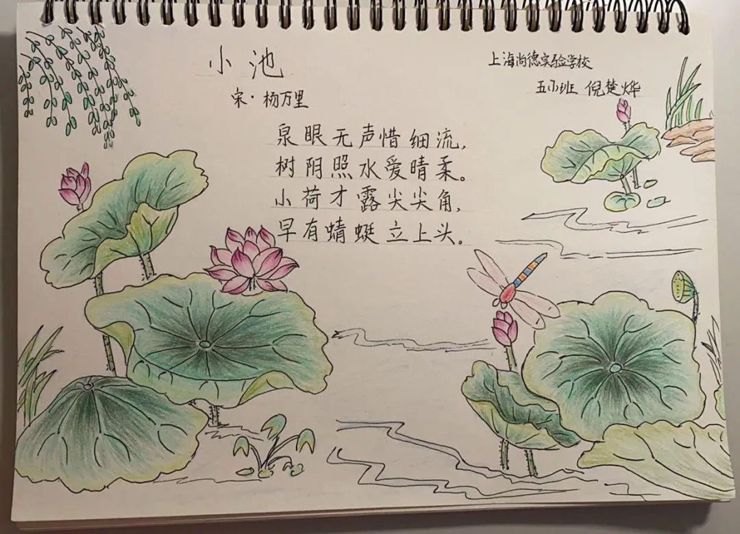 品魅力诗词  颂中华雅韵——尚德实验学校图书馆线上课堂风采回顾图片_2097151