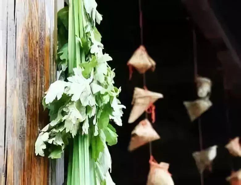 今年端午，本世纪罕见！快和孩子聊聊这些与端午有关的事儿吧图片_131071
