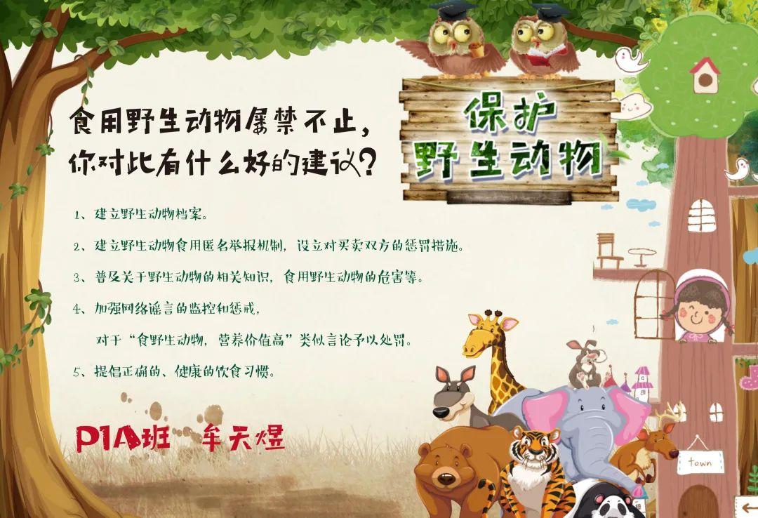 生活需要阳光,非常时期“心”技能大放送!| SUIS-TV Special Issue Ⅱ图片_33554431 生活需要阳光,非常时期“心”技能大放送!| SUIS-TV Special Issue Ⅱ图片_33554431