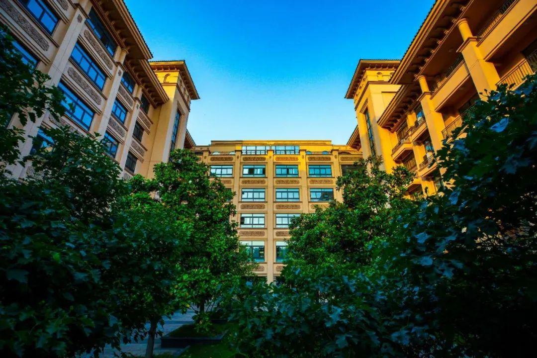 上海星河湾双语学校2020届大学录取简报图片_31 上海星河湾双语学校2020届大学录取简报图片_31