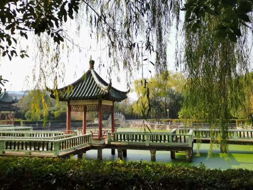 喜讯！加州戴维斯分校录取我校七名同学！图片_127