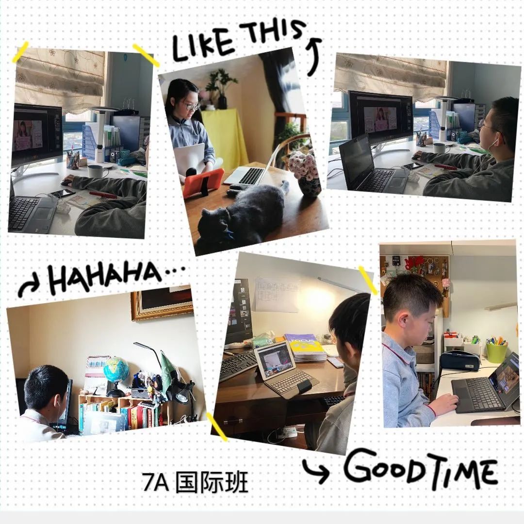 与自然对话，与自己对话——献给上实国际部孩子们的开学第一课图片_32767
