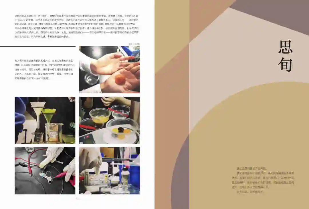 【2020届DP学子风采录】妙笔丹青，慧眼艺心图片_524287