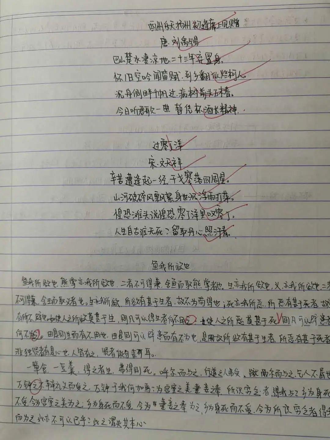表彰 | 优秀线上学习者表彰（一）图片_18446744073709551615
