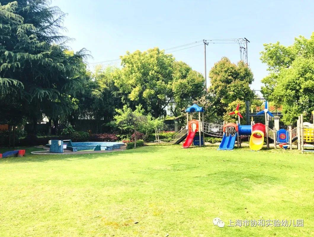 上海市协和实验幼儿园欢迎您！图片_511