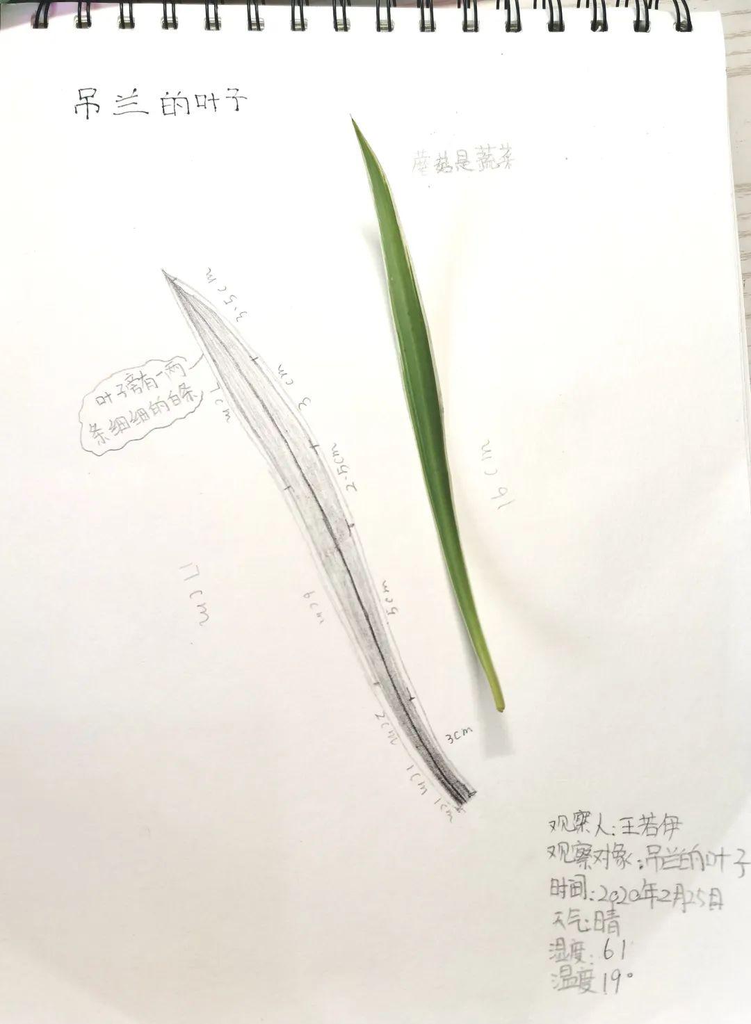玉琢成器 人学知义——记尚德航头校区之“云”端战“疫”图片_281474976710655 玉琢成器 人学知义——记尚德航头校区之“云”端战“疫”图片_281474976710655