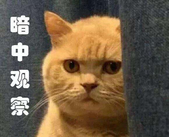 【施物招领】震惊!校园里的“电锯惊魂”!图片_31 【施物招领】震惊!校园里的“电锯惊魂”!图片_31