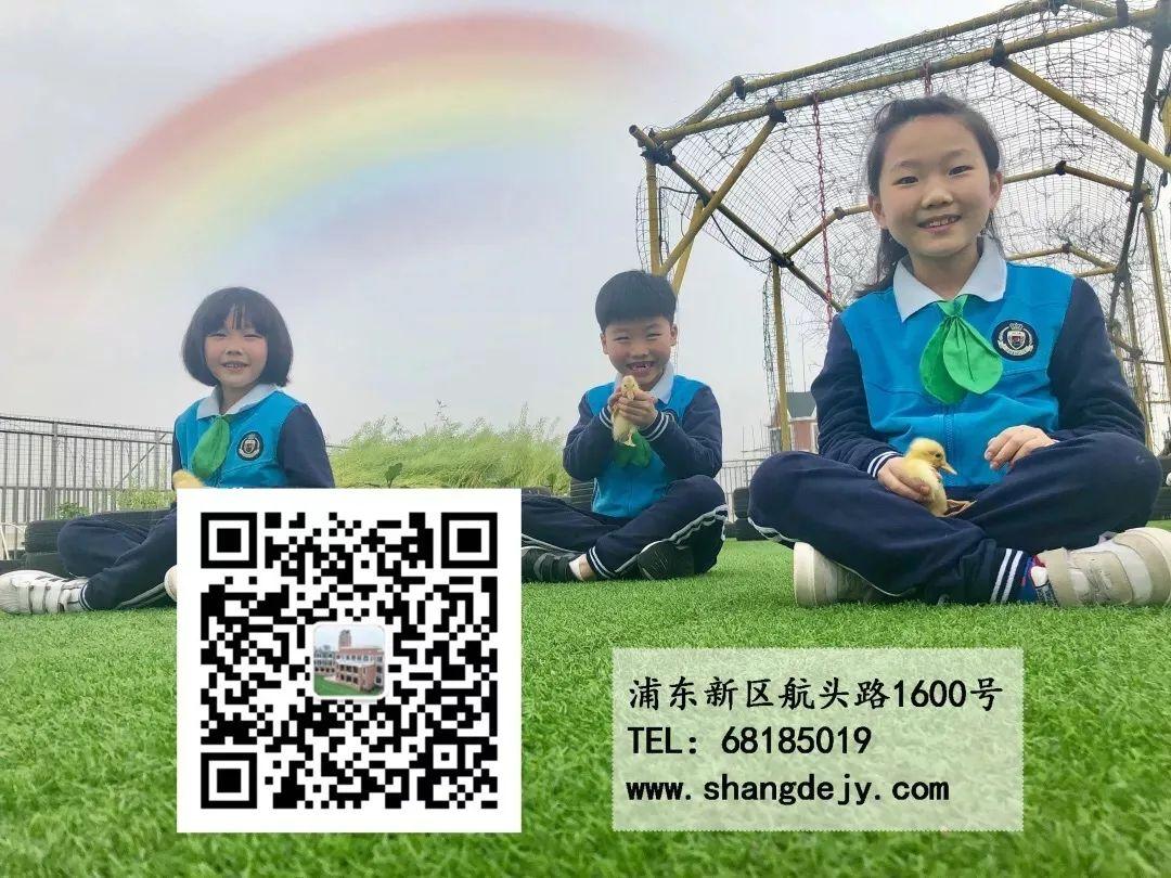 玉琢成器 人学知义——记尚德航头校区之“云”端战“疫”图片_23384026197294446691258957323460528314494920687615 玉琢成器 人学知义——记尚德航头校区之“云”端战“疫”图片_23384026197294446691258957323460528314494920687615
