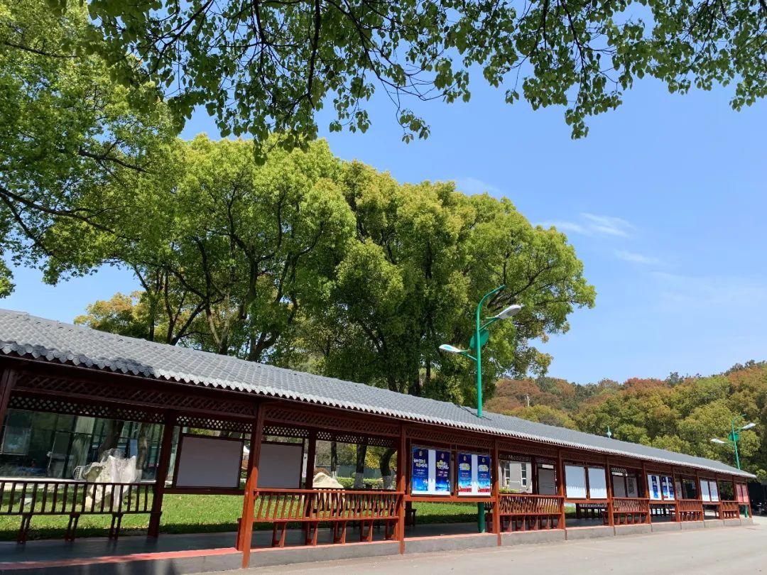 此心安处是吾家，平安五一在校园图片_3