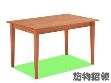 【施物招领】扫帚?扫地?抱歉,我是来扫兴的图片_262143 【施物招领】扫帚?扫地?抱歉,我是来扫兴的图片_262143