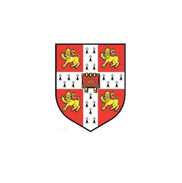 2020届毕业生升学数据分析 | Class of 2020 Admissions Accomplishments图片_3 2020届毕业生升学数据分析 | Class of 2020 Admissions Accomplishments图片_3