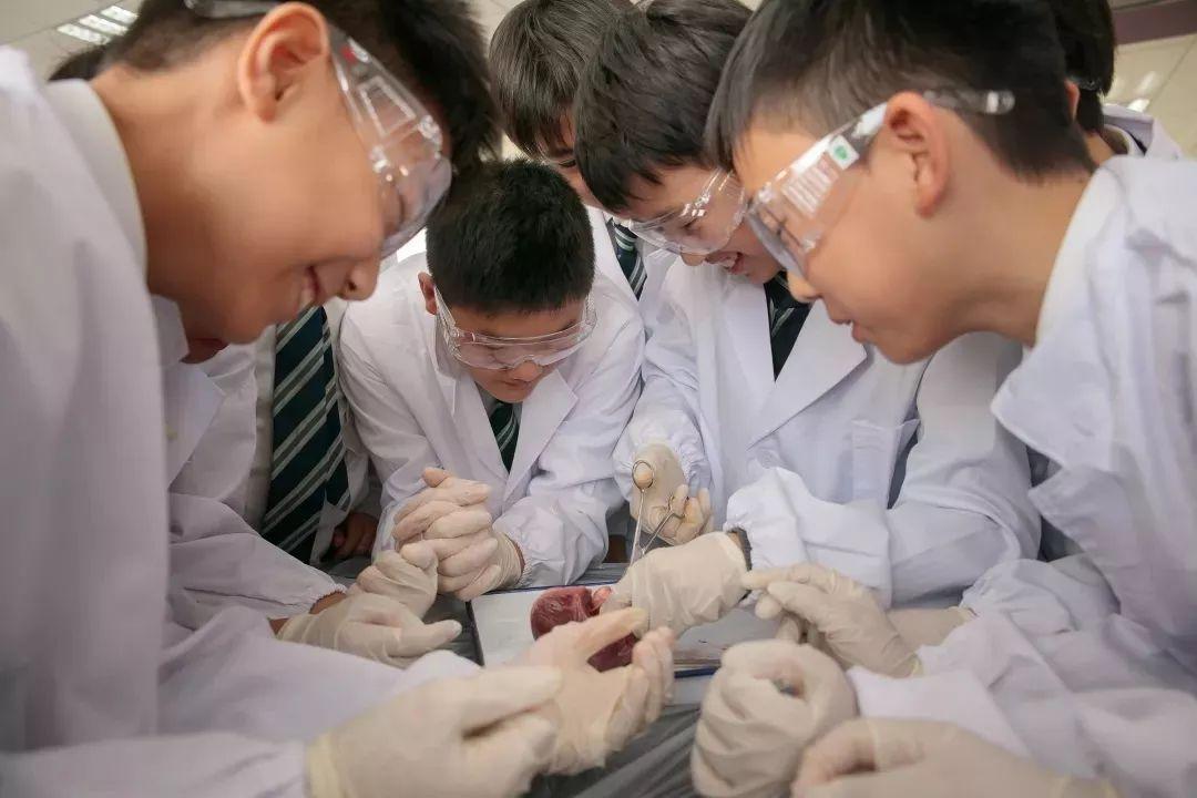 中考生必读:就读IB课程让世界名校不再遥不可及 A Must Read for Secondary Students图片_3 中考生必读:就读IB课程让世界名校不再遥不可及 A Must Read for Secondary Students图片_3