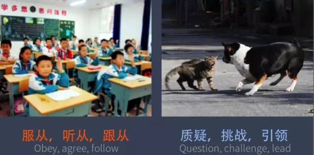 传统教育与创新教育的44个不同图片_255