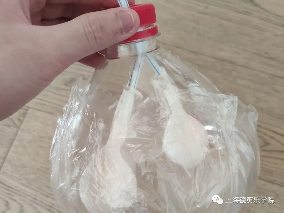 别开生面的生物课 | 培养学生批判性思维图片_63 别开生面的生物课 | 培养学生批判性思维图片_63