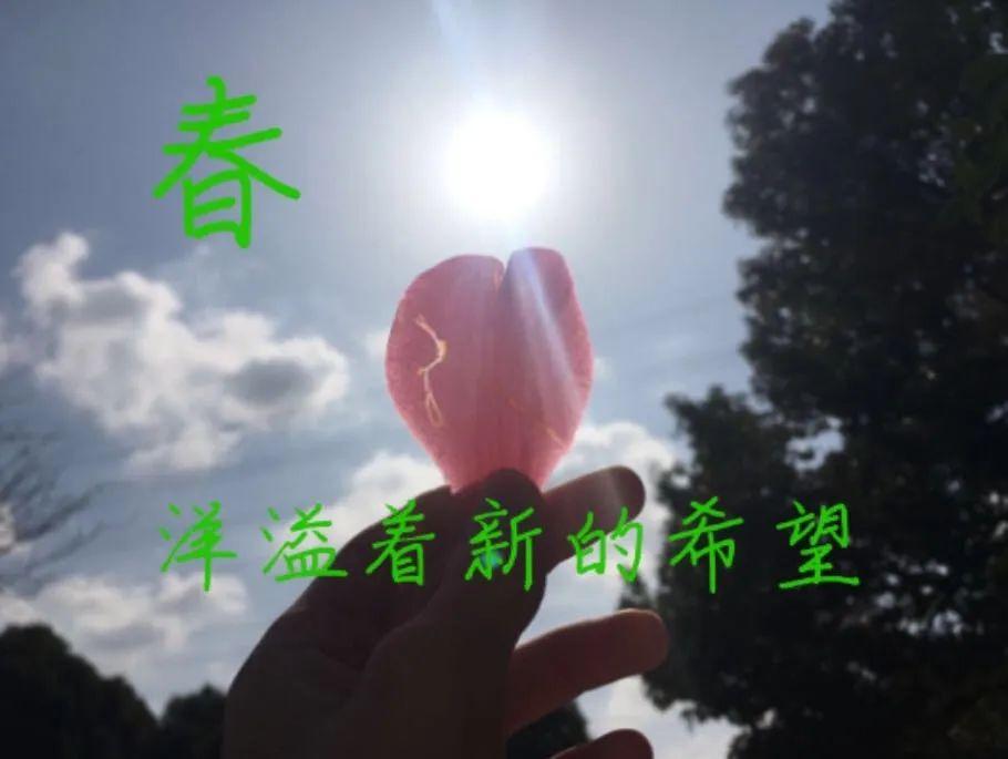 表彰 | 优秀线上学习者表彰(二)图片_162259276829213363391578010288127 表彰 | 优秀线上学习者表彰(二)图片_162259276829213363391578010288127