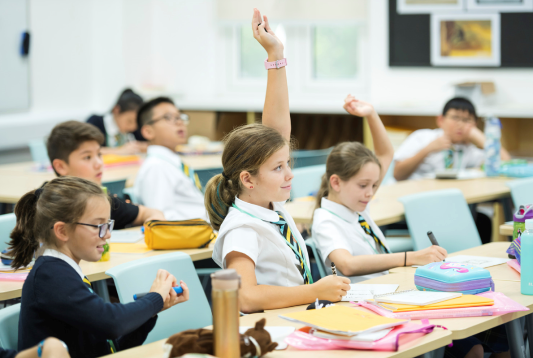 Practising critical thinking in a 'post-pandemic' world图片_15