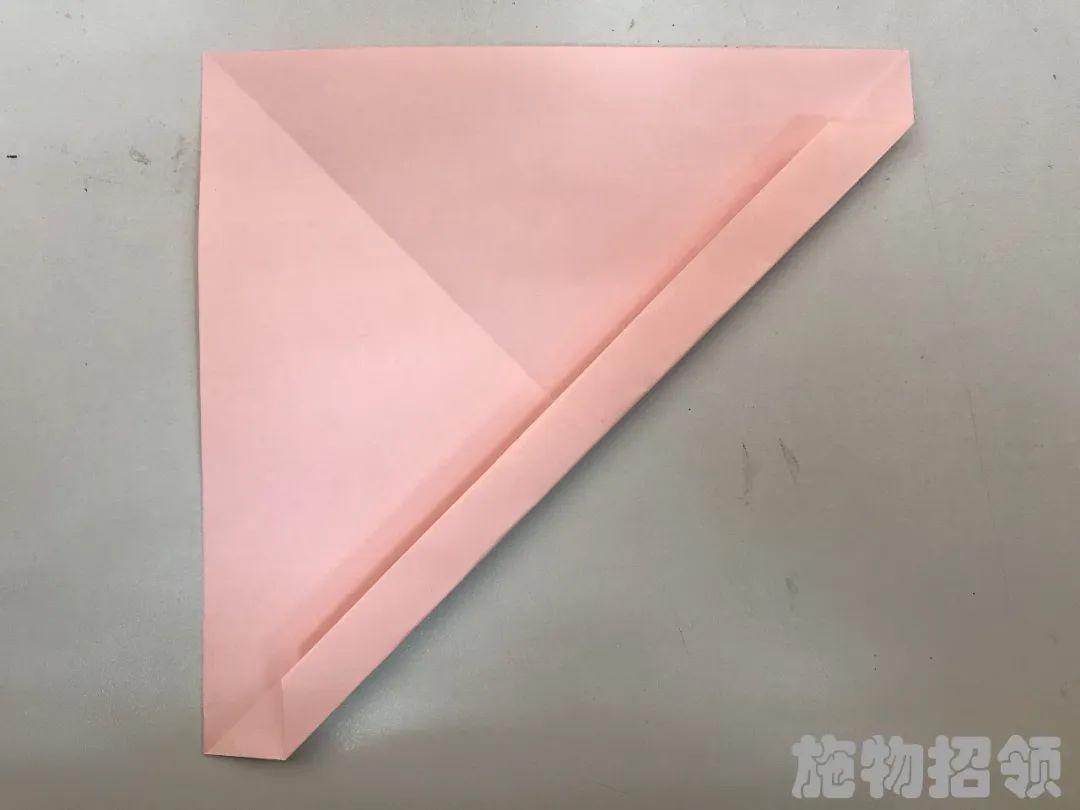 【施物招领】少年，你想做“飞猪”吗？图片_137438953471