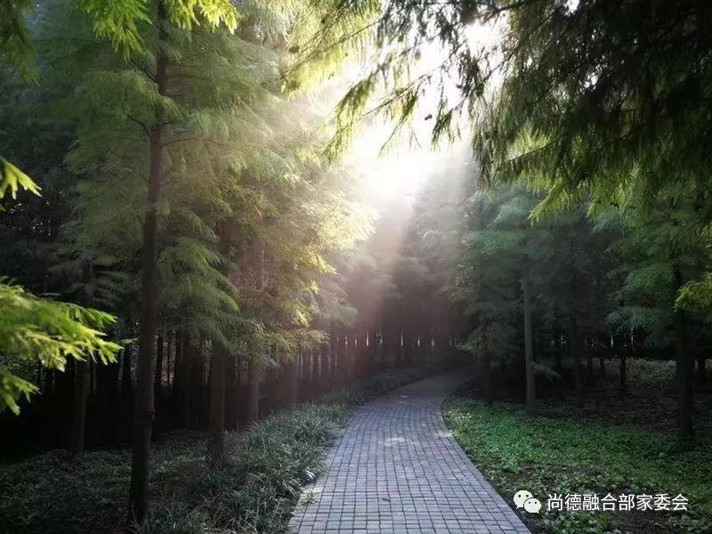 感恩月征文（七）——《感恩与你同行》图片_32767
