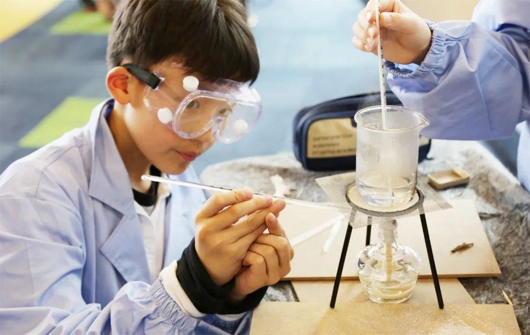 IB专栏 | 升学规划被疫情打乱了?! 7个问题帮你梳理孩子的国际教育路径选择!图片_511 IB专栏 | 升学规划被疫情打乱了?! 7个问题帮你梳理孩子的国际教育路径选择!图片_511