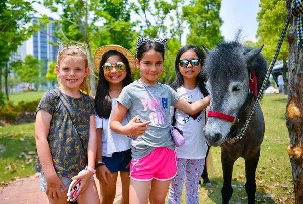 Wellington goes on safari for fifth Summer Festival图片_32767