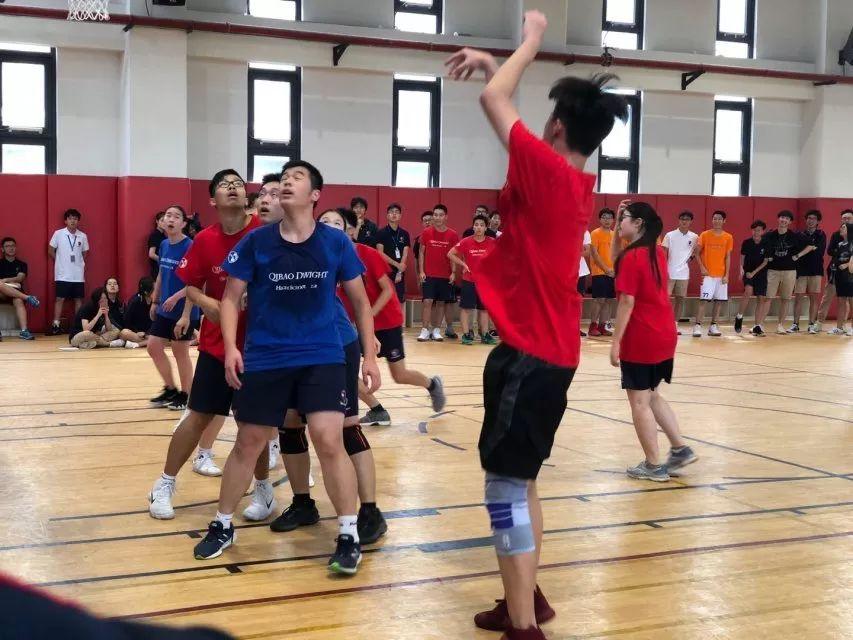 蜕变绽放图片_4095 蜕变绽放图片_4095