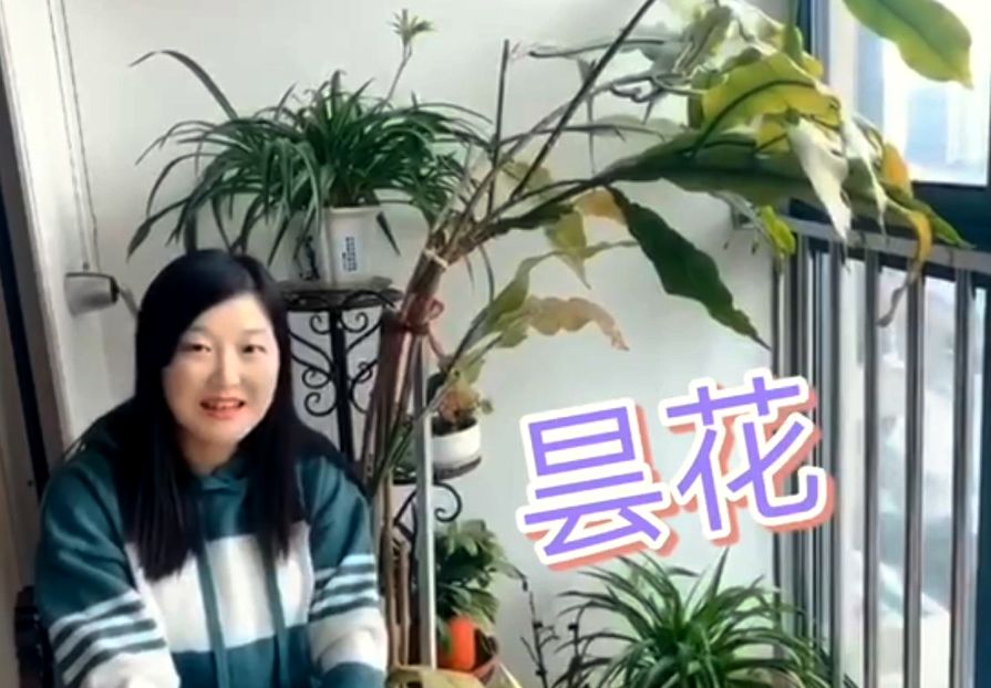 相约云端课堂,我们生长在春天里 | The Second Semester 2019-2020 SUIS TV I图片_33554431 相约云端课堂,我们生长在春天里 | The Second Semester 2019-2020 SUIS TV I图片_33554431