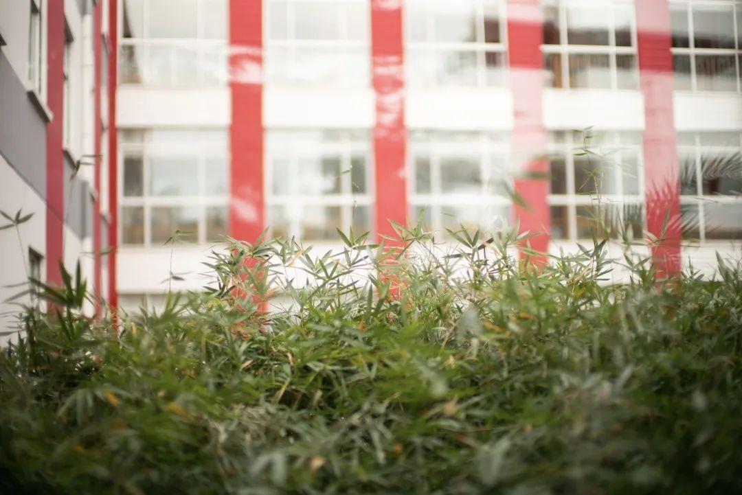 【2020届DP学子风采录】“研”无不尽，天“码”行空图片_1