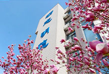 石家庄康福外国语学院