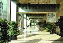 上海卢湾高级中学（国际部）