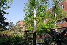 北京师范大学附属实验中学（国际部）