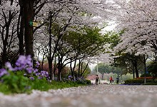 江苏省天一中学（国际部）