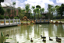 珠海市第一中学(国际班)