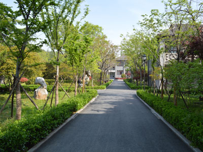 江苏泰州中学（国际部）