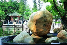 广州仲元中学国际班