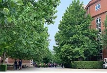 北京市海淀国际学校