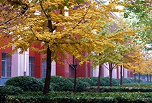 石家庄市第四十二中学