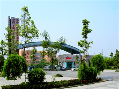 成都七中实验学校（国际班）